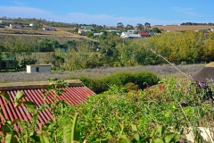 Napier visible from driveway